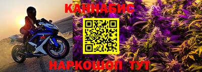 шишки Новокубанск