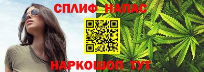 стаф Новозыбков
