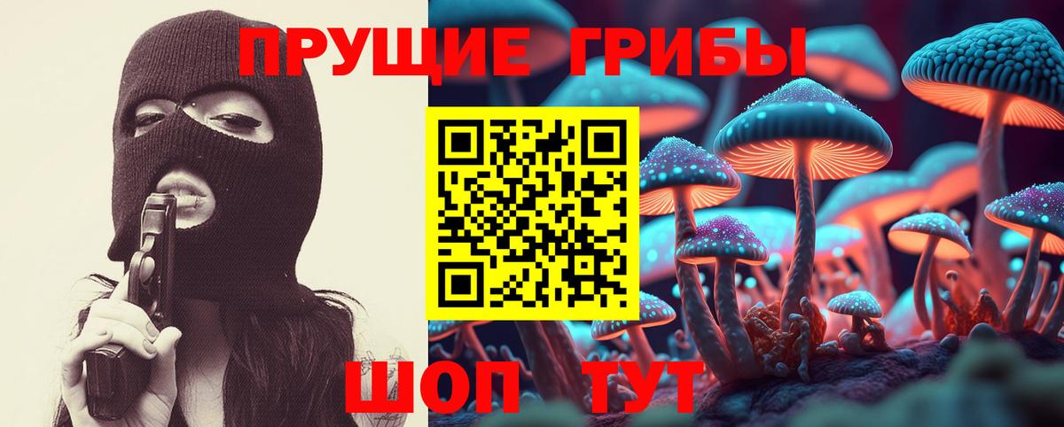 Псилоцибиновые грибы MAGIC MUSHROOMS  Псилоцибиновые грибы Psilocybe  купить наркотик  Усолье-Сибирское  Вход с VPN 